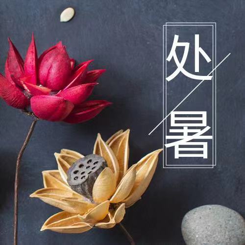 處暑|四時俱可喜，最好新秋時